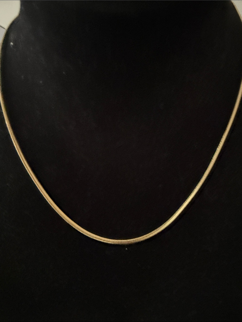 Talidara Gold Chain Necklace NWT